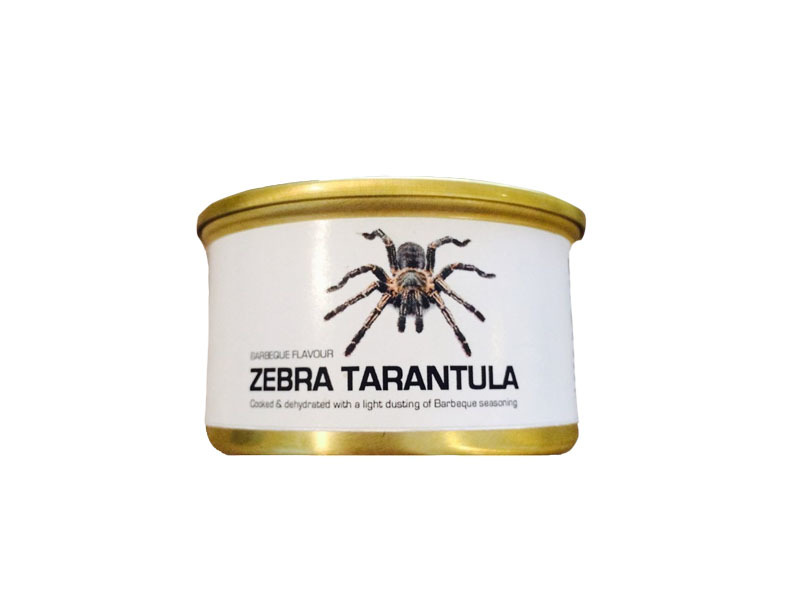水煮蜘蛛罐頭（可食用） Zebra Tarantula | 得利購DirectGo - 海運