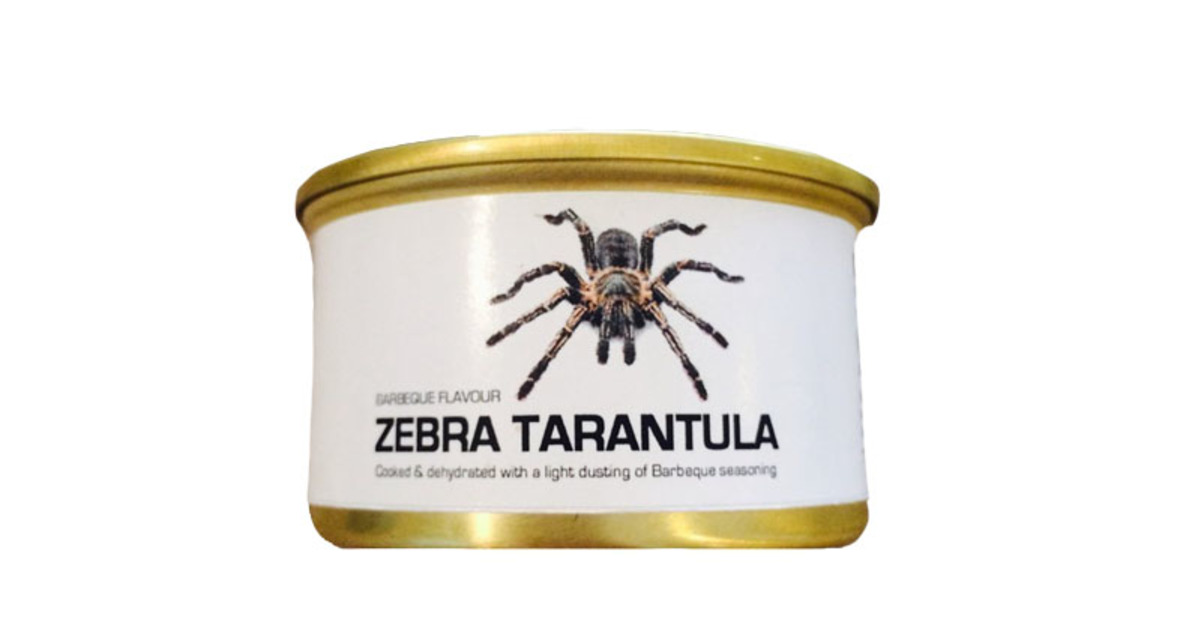 水煮蜘蛛罐頭（可食用） Zebra Tarantula | 得利購DirectGo - 海運